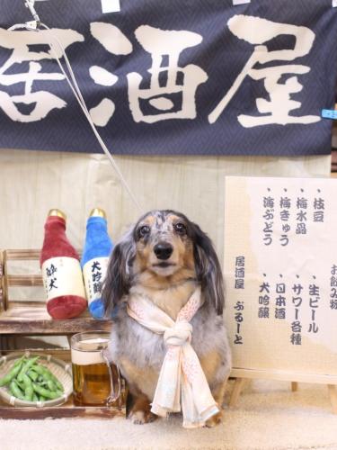 20240615シャーロットちゃん